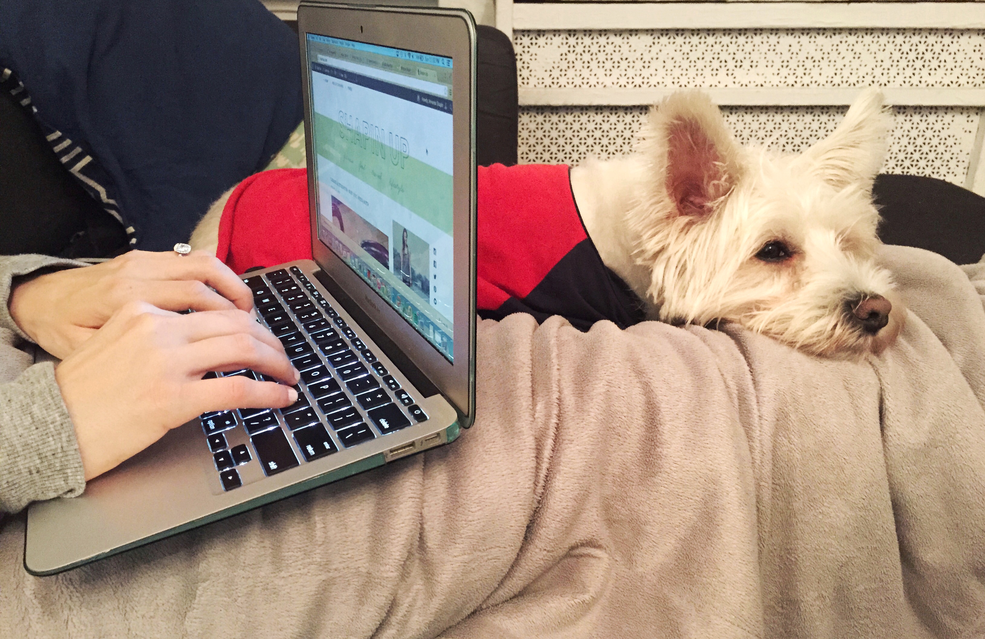 blogging with ollie