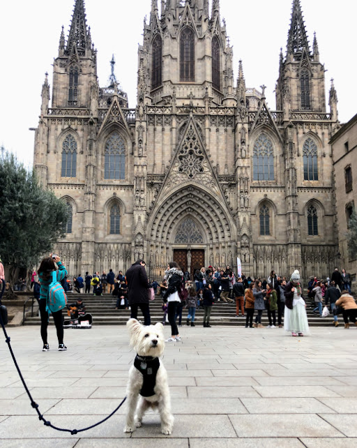 barcelona cathedral