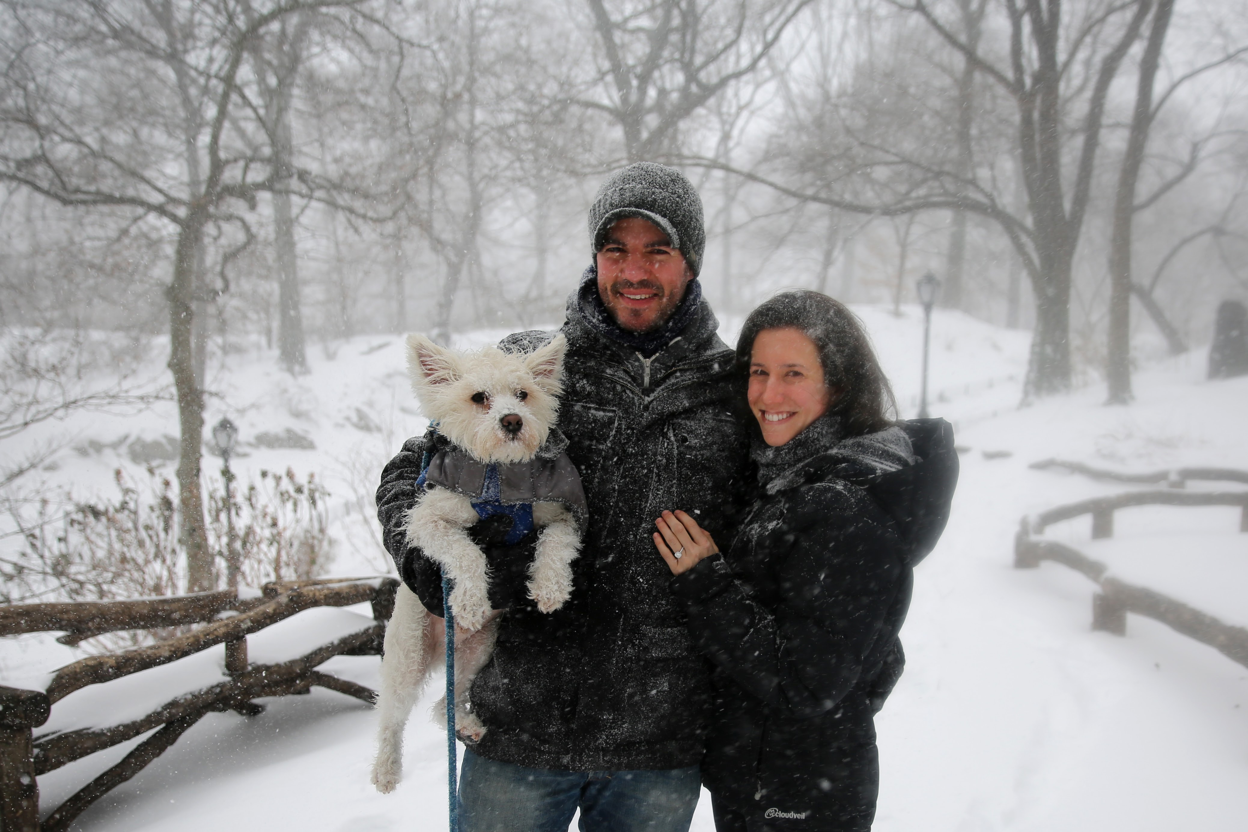 Snow Proposal Central Park by ShapinUp