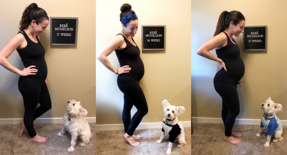 second trimester recap